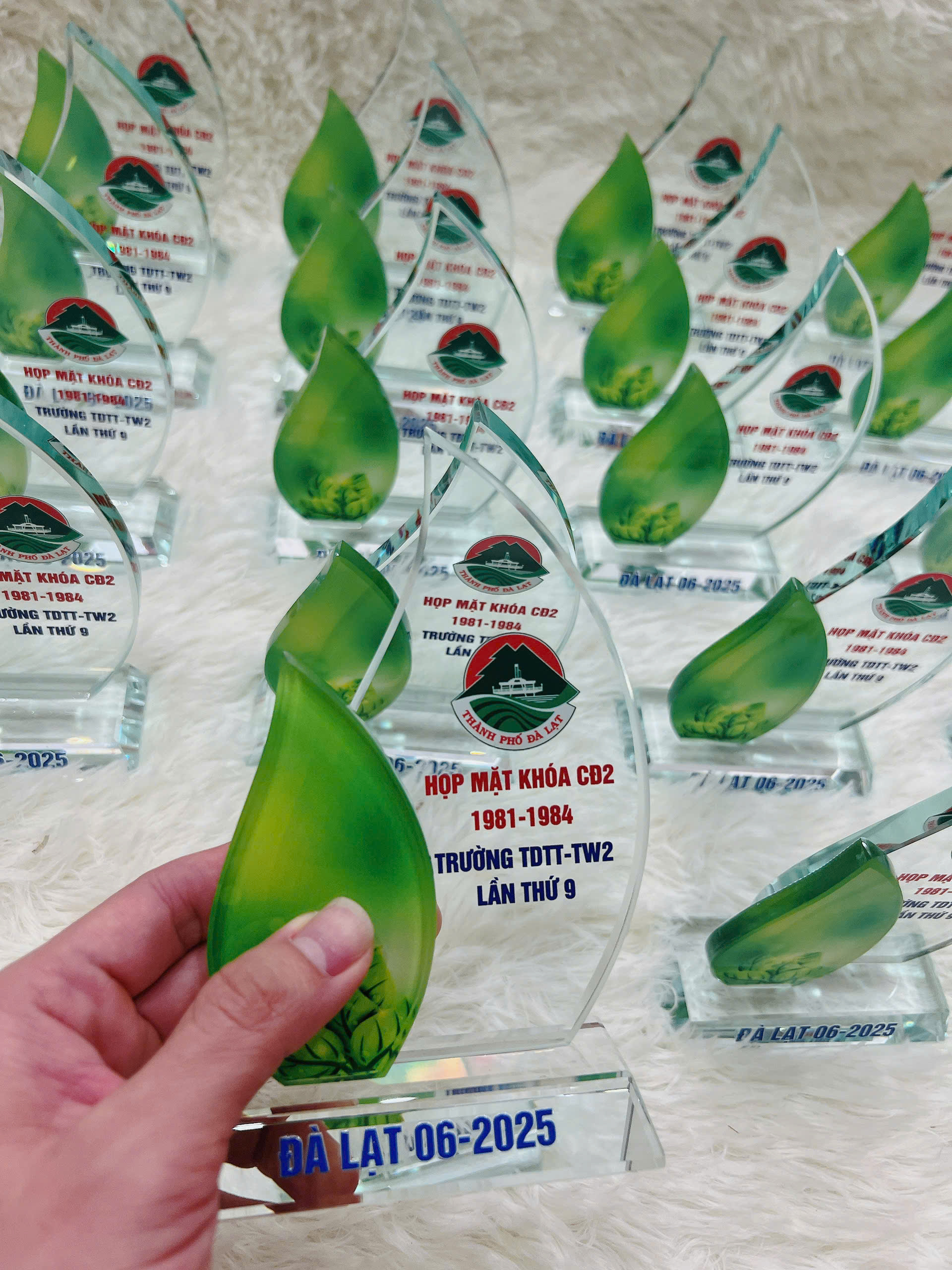 Thủy Tinh Chiếc Lá