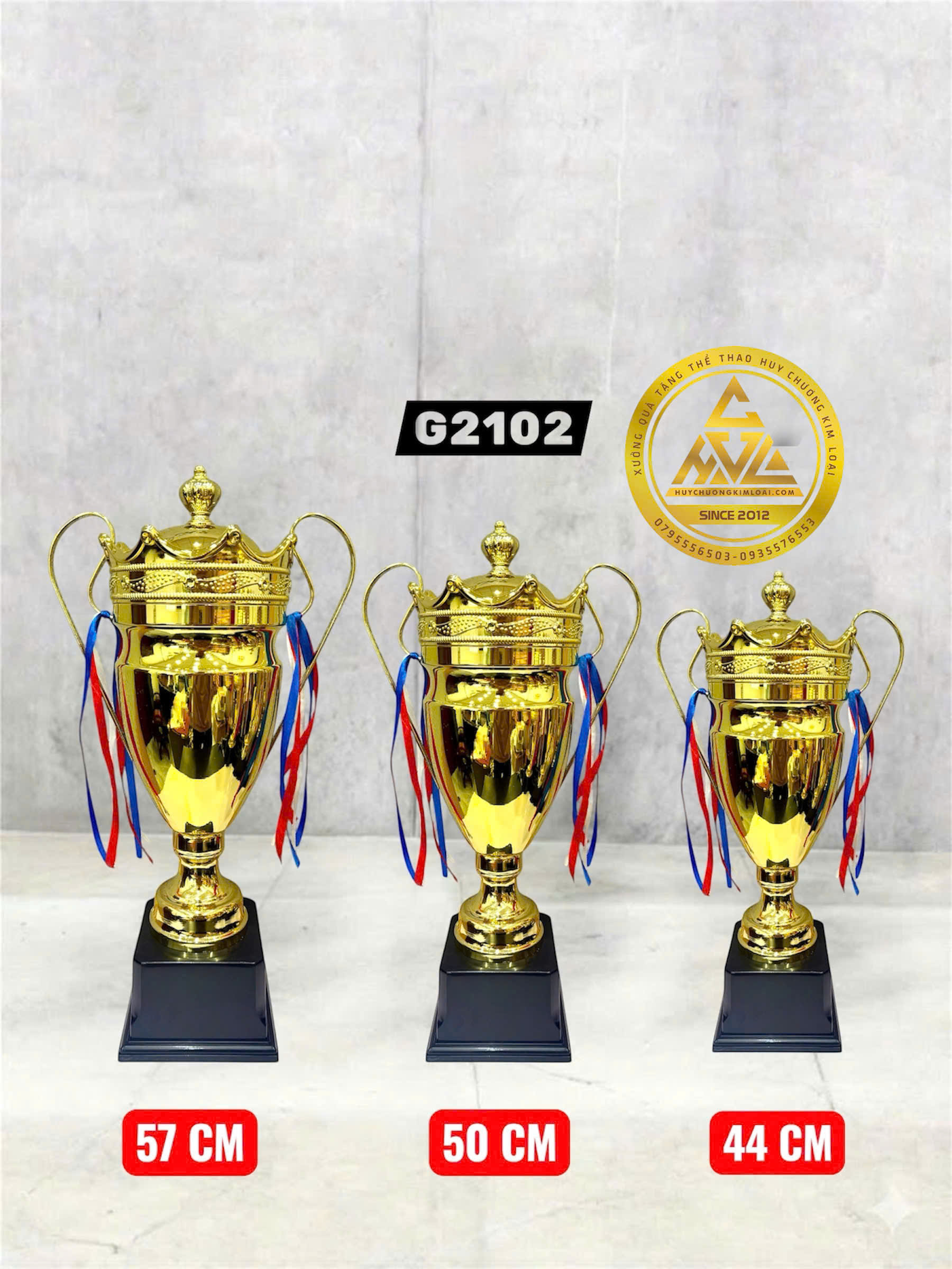 CÚP KIM LOẠI 01