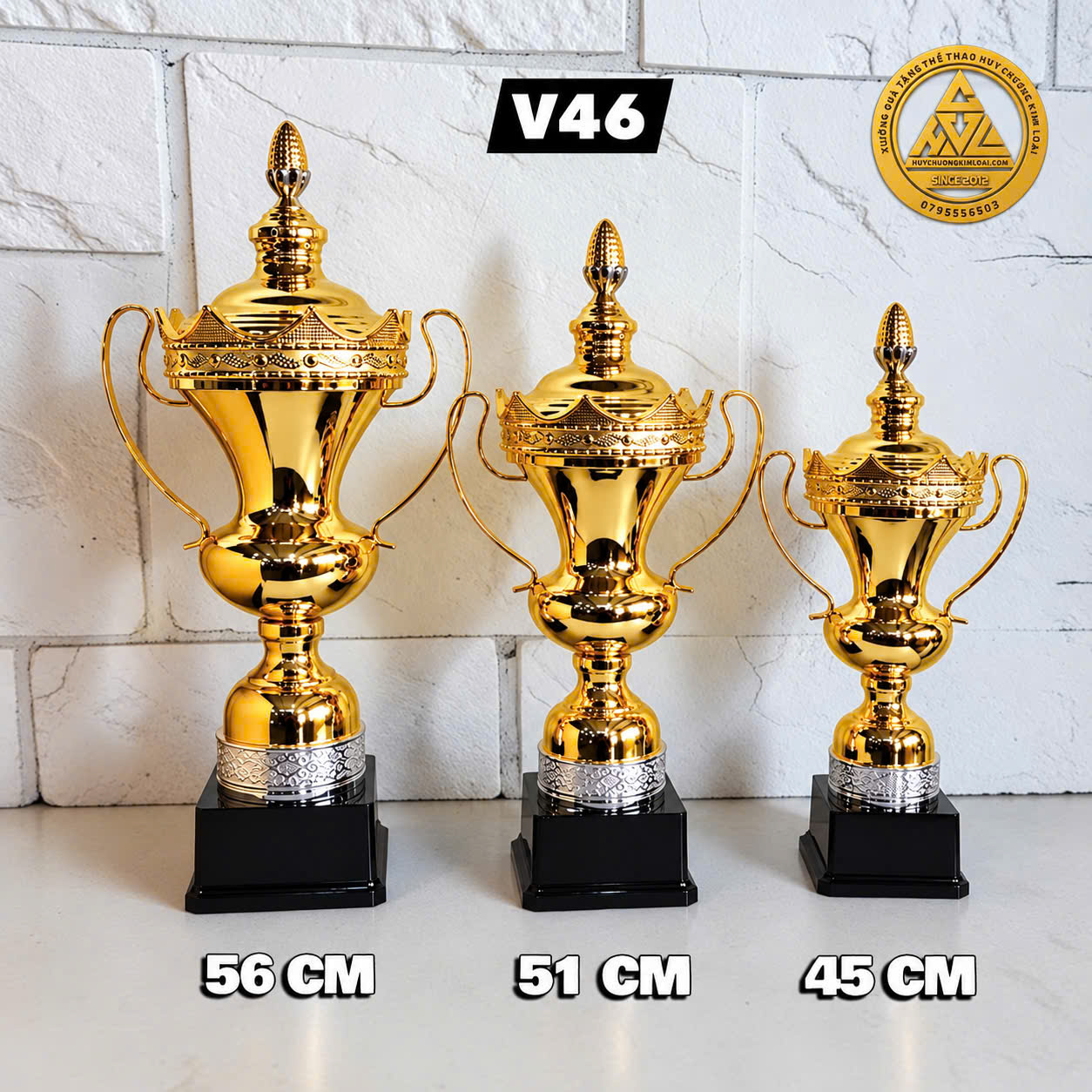Cúp Kim Loại V46